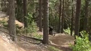 Midsommar järvsö 2024 (TwistEdition,Slopeduro)