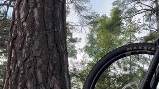 Pike setup