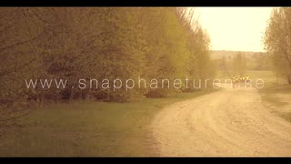 www.snapphaneturen.se