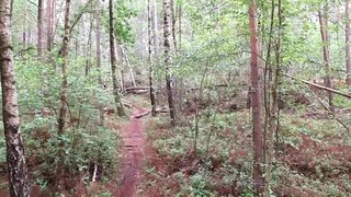 Singletrack i Hisingsparken