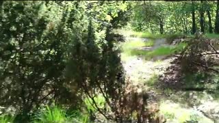Gbg Enduro Etapp 4 Teaser #2 extended edition