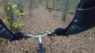 Billdal-Kullavik-Malevik-Särö ToR 20131104