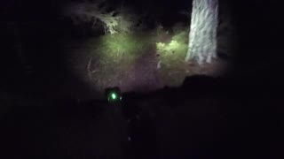 Kvällsåkning