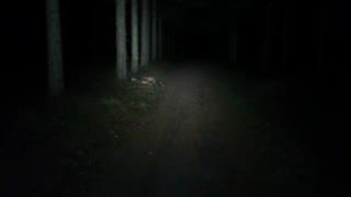 Lamptest