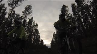 Dual trackrace