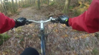 Stigfinnartur i utkanten av mellersta Sandsjöbacka 2013-11-25