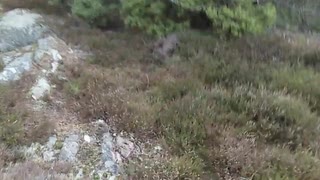 En gocykling  i Harestad utanför Kungälv