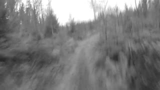 Vinter