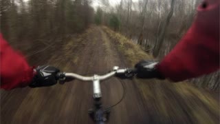 Sandviken 20140106: En alternativ tur
