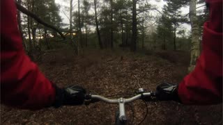 Sandsjöbacka: Där djuren går och jag cyklar 20140113