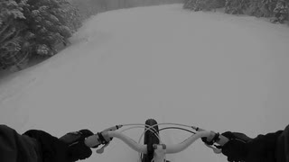 Fatbike/skidåkning i Kåbdalis