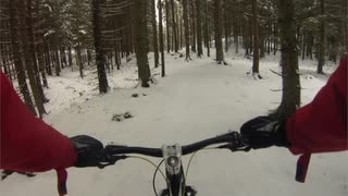 Pudersnö i Sisjöområdet 20140129