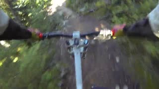 Whistler raw - goat's gully 2