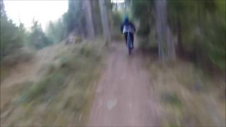 stig