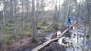 Tisdagsrajd 2014