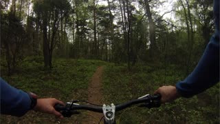 Fisjön 20140430