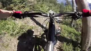 Alpine Trails