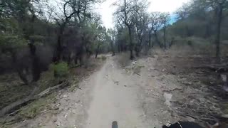 Brown Canyon Trail, AZ
