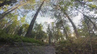 En stig i Kallhäll