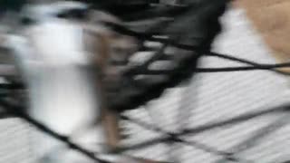 Mitt nya bakhjul