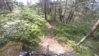 Molden till fjorden med touretteskommentator