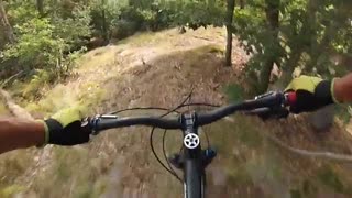 Our Local Trails