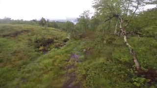 Enduroline!