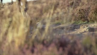 Inför Mtbstore Enduro Challenge 27/9 Gbg