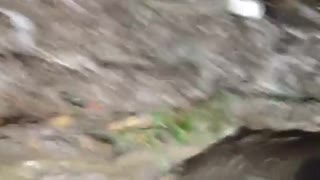 Lertest xpedo mtb-pedaler