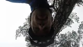 My name is Mud