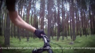 Korvlinjen