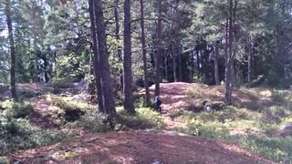 Småbarn + skogscykling