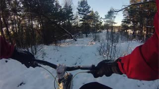 Sisjön 20150125 med gänget