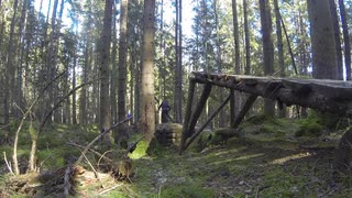 Vårkänslor i freeridespåret!