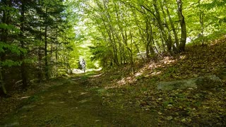 Växjö Stigcyklister: Divine