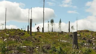 Tjärna berget enduro träils