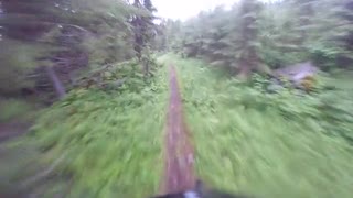 Bekkedal Trysil