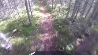 Hökberg utför på