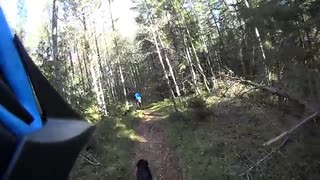 Höstrull med tonåring och labradortant i Lunsen