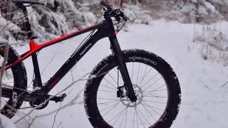 Vinter