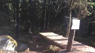 Glasberga - SS2 - Ladder Droppet