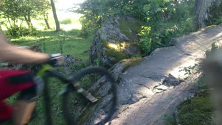 Bergbermen i Hammarskog