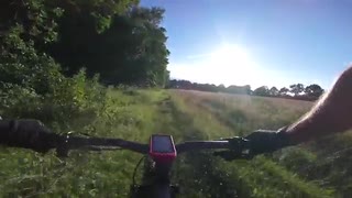 Dog track XC Helsingborg