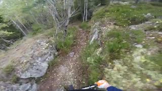 Rådjursstigen på Stravasegment Nacke 2