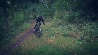 Pinewood forest XC