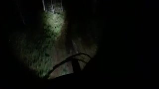 I lampans enkla sken