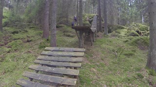 Skogen är kvar!!