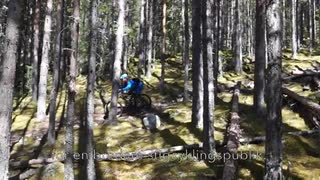 Nesbyen Trail Camp - en överblick