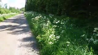 1 vecka innan midsommar 2017