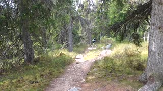 Tobgren på Nipjfället del 3
